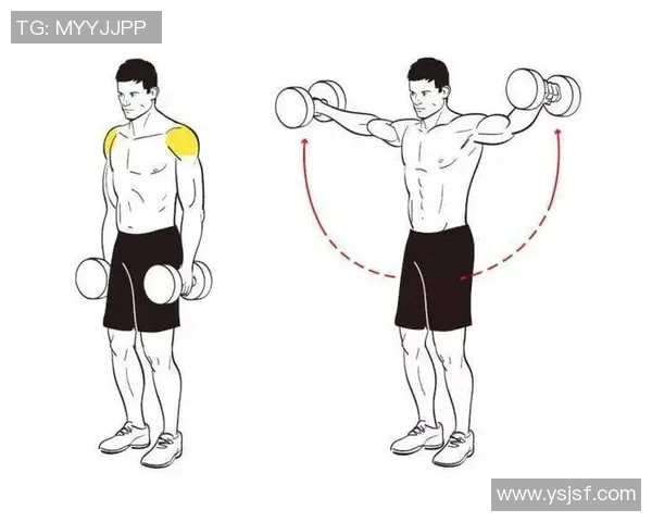 掌握哑铃训练技巧轻松塑造完美身材的有效方法与步骤详解