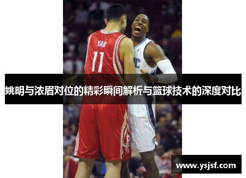 姚明与浓眉对位的精彩瞬间解析与篮球技术的深度对比