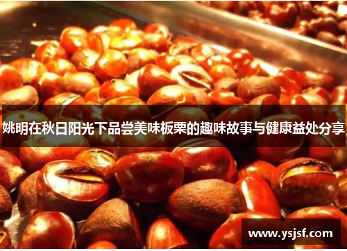 姚明在秋日阳光下品尝美味板栗的趣味故事与健康益处分享